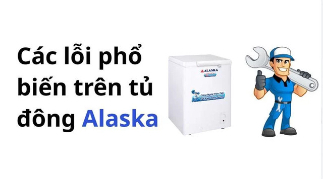 Người dùng có thể gặp phải một số lỗi phát sinh trong khi sử dụng tủ đông Alaska